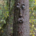 masque arbre résine yeux plastique moustache barbe artisanal jardin décoration pastorale naturelle