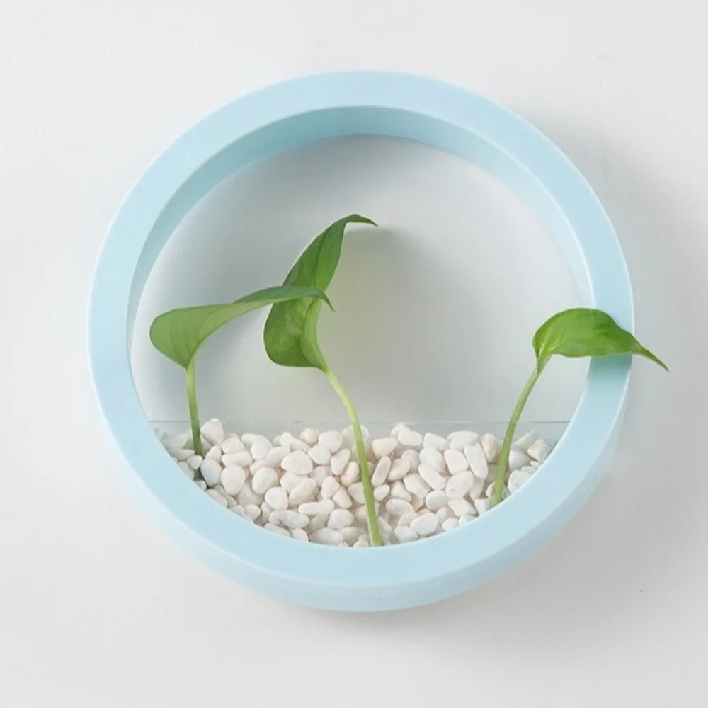 pots plante hydroponique mural noir blanc rose bleu moderne minimaliste fixation murale