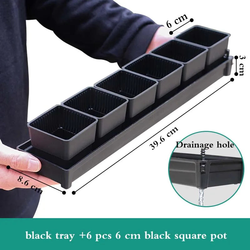 lot pot succulentes plastique blanc moderne trous drainage aération plantes maison