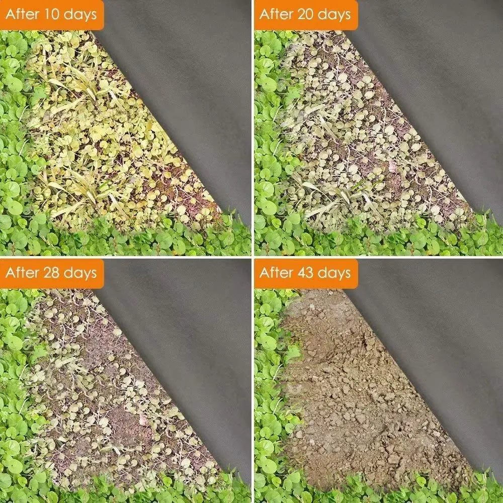 tapis jardin noir tissé robuste couverture sol polypropylène moderne 100cmx1000cm