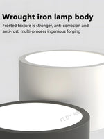 lampe minimaliste gris blanc éclairage moderne chambre salon entrée étude 10m² LED montée surface