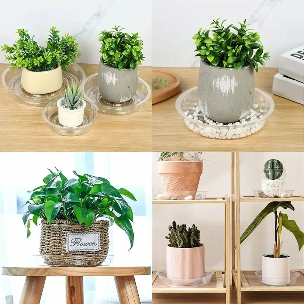plateau plante transparent moderne 10 12 pouces adhésif concentrique rayures