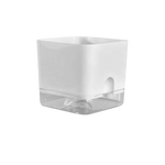 cache pot moderne blanc bleu clair uni opaque adhésif intérieur fleuri verte simple