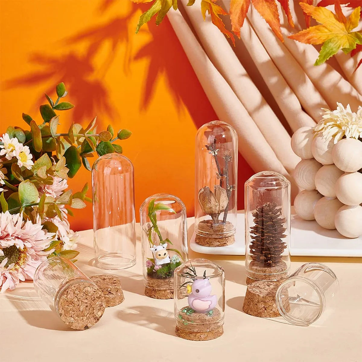 cloches verre liège transparents moderne 30x40 30x50 30x60 30x70 30x80 mm