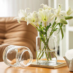 Détail du vase en verre transparent avec culture hydroponique