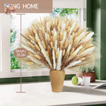 décoration maison bouquet dried flowers naturelles pampas beige rustique vase