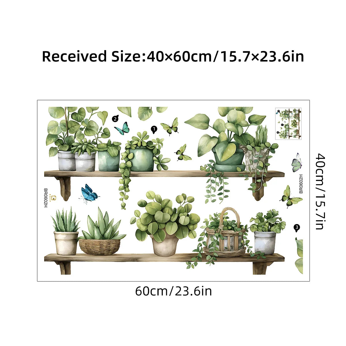 stickers muraux aquarelle plante pot cactus succulente oiseau papillon étagère bois nature bohème chambre