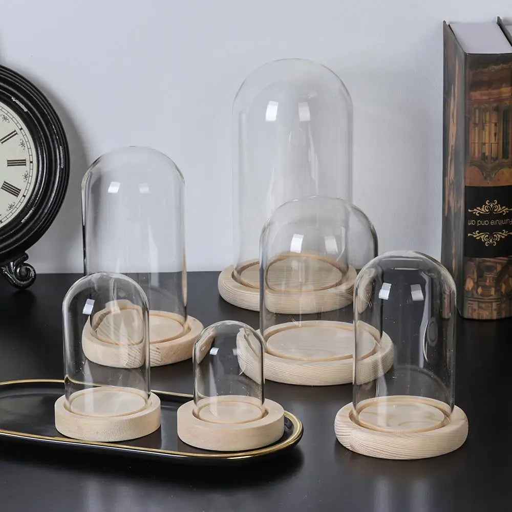 cloches verre transparentes opalescentes bases bois naturel minimaliste grande taille stockage