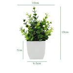 décoration intérieure plante artificielle eucalyptus bonsaï vert feuilles fines moderne sans entretien pot blanc