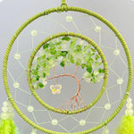 Rêve capteur décoratif avec une arbre de vie torsadé et des perles en verre vert clair disposées de manière circulaire.