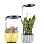 lampe led plante noire blanche rose moderne minimaliste réglable usb autonomie