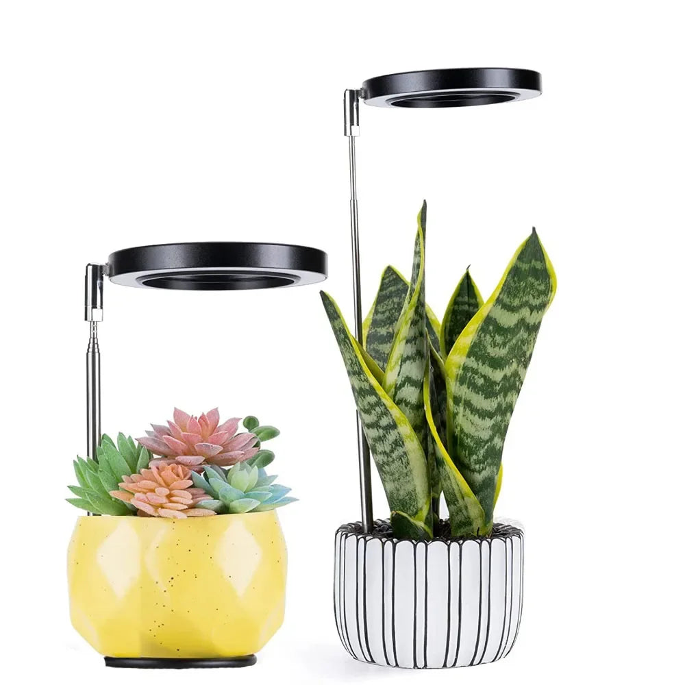 lampe led plante noire blanche rose moderne minimaliste réglable usb autonomie