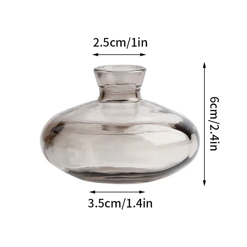vase verre transparent moderne rose décoration intérieur hydroponique fleuri table studio