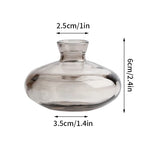vase verre transparent moderne rose décoration intérieur hydroponique fleuri table studio