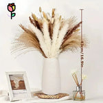 bouquet fleurs séchées naturel plumes pampa beige rustique décoration intérieure anniversaire baby shower mariage