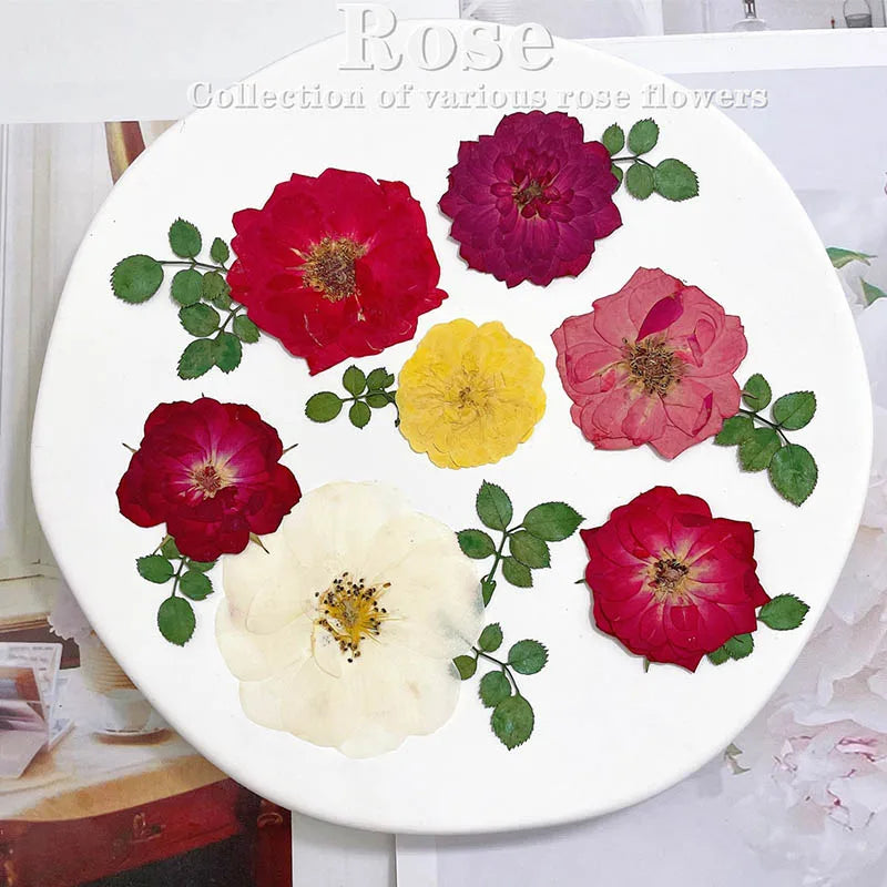 fleurs séchées naturelles rouge jaune blanc rose décoration maison intérieure bricolage scrapbooking abat jour