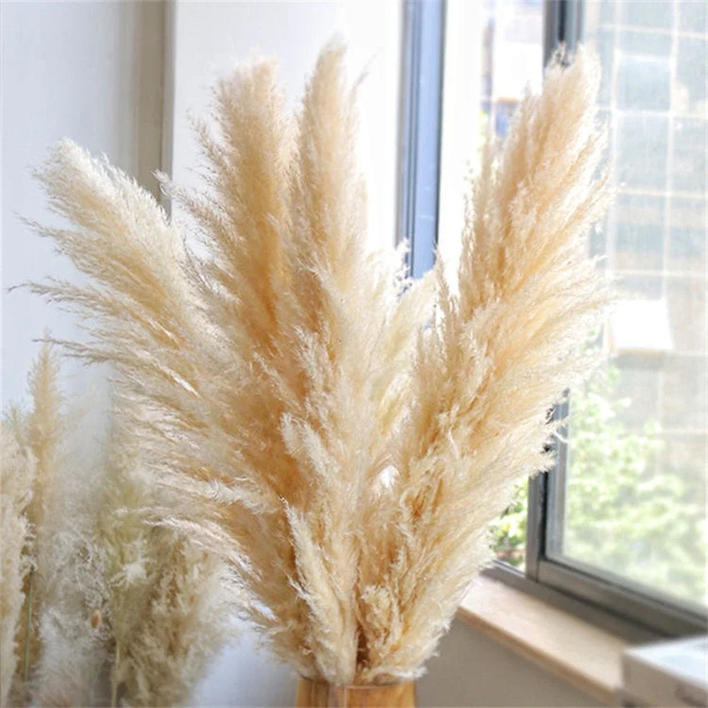 grande plume herbe pampa séchée beige clair décoration maison mariage naturel rustique 120cm