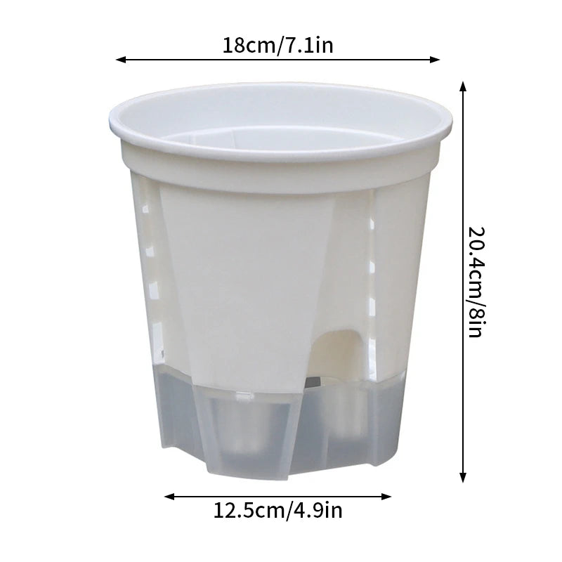 pots plantes autoarrosants transparents moderne grille taille absorbant chassis moderne