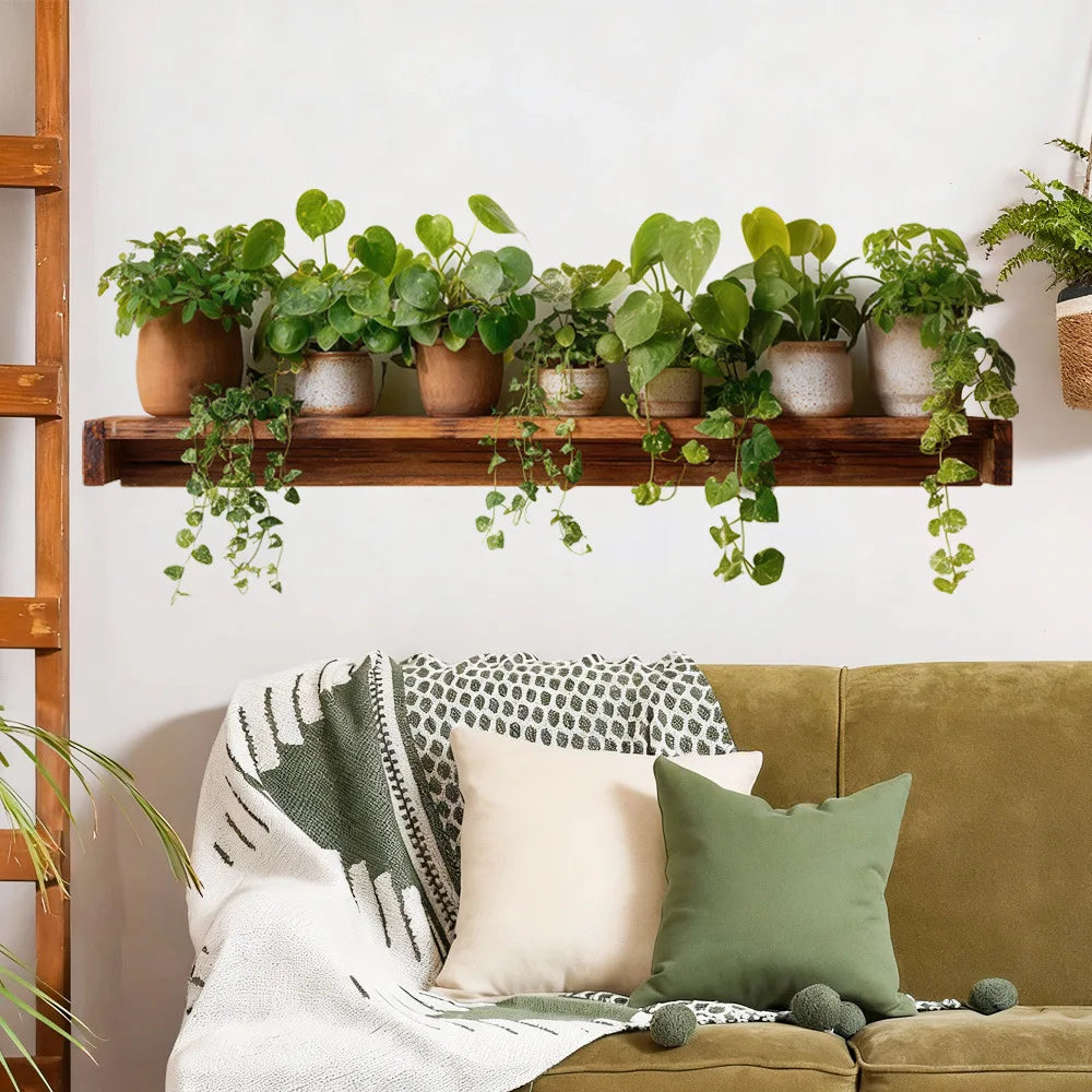 étagère murale moderne plante verte pot bois finition lisse naturelle rustiqueintérieur déco