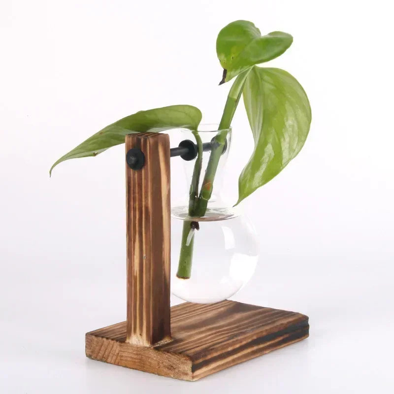 vases verre transparents plantes vertes support bois industriel décoration minimaliste