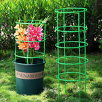 grille support plantes vert circulaire moderne fixations solides intérieur fleurs treillis plastique