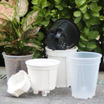 pots plantes auto arrosants transparents moderne blanc plateau d'eau