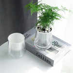 pots plante hydroponique transparent gris moderne minimaliste ridges verticales terre graines