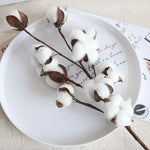 décoration intérieure bouquet coton blanc feuilles vertes tiges brunes naturel rustique mariage anniversaire festivités