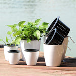 pot fleur hydroponique auto arrosage moderne blanc rayures verticales plante verte intérieur
