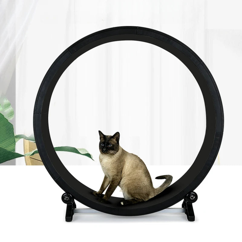 roue d'exercice chat noir moderne fitness jouet chat minimaliste pvc