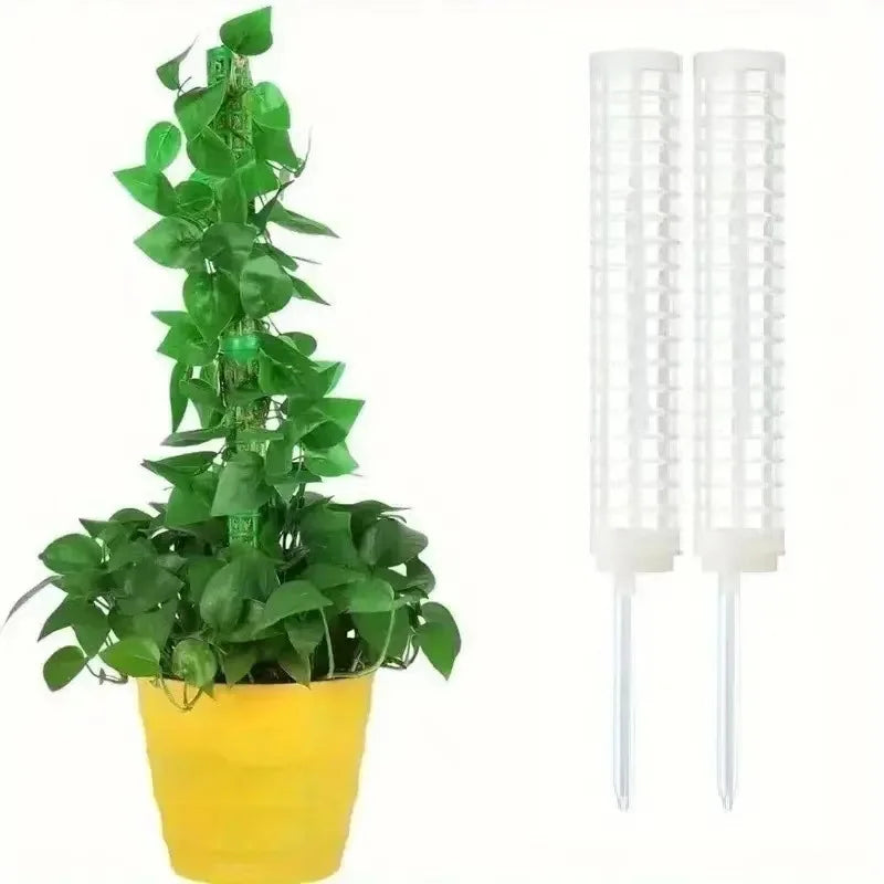 supports plantes pliants adhésifs cordelettes piquets blancs verts modernes intérieur