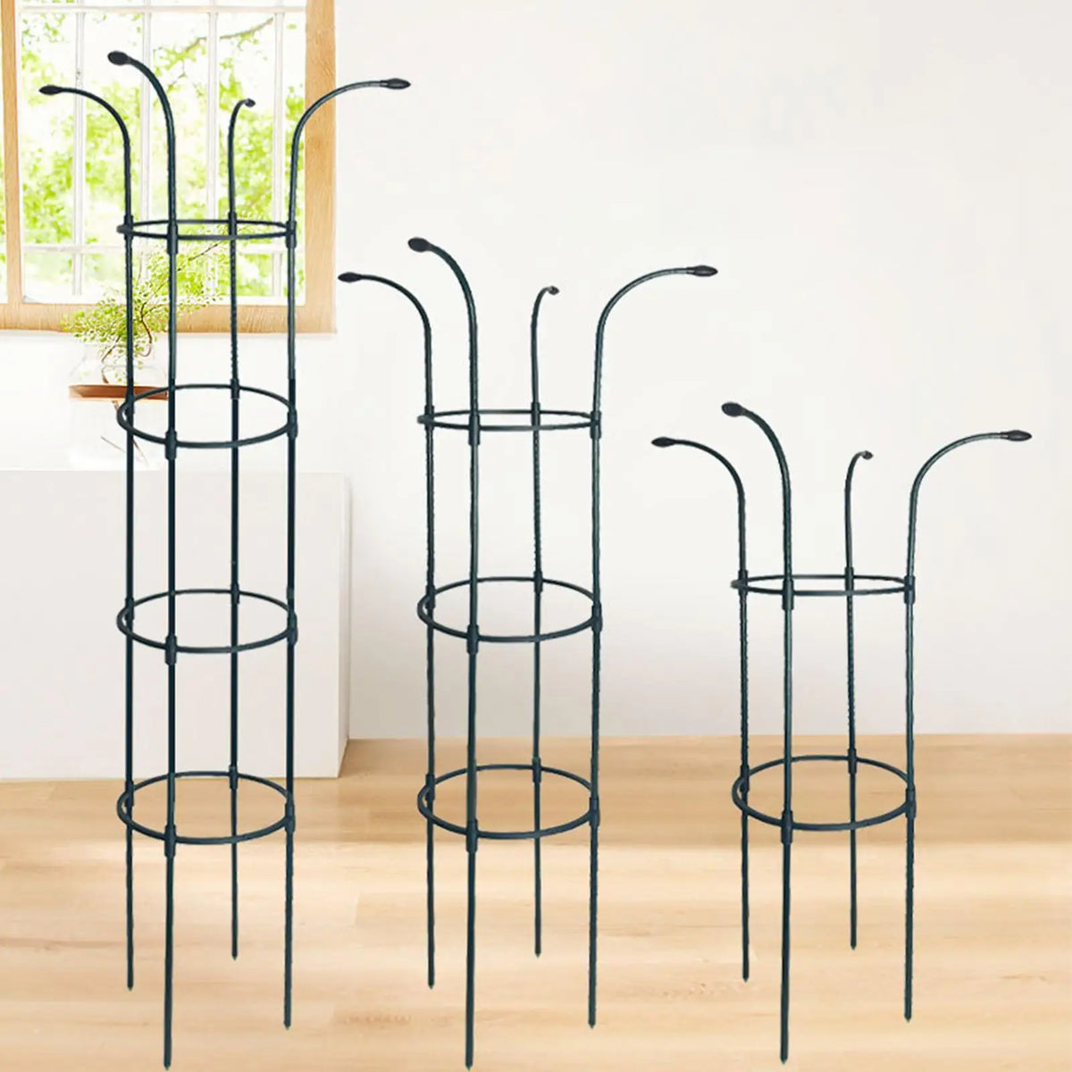 support plante grimpante métal structure circulaire branches incurvées moderne noir roses clématites pot fleursextérieur