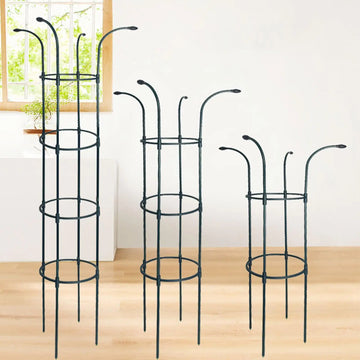 support plante grimpante métal structure circulaire branches incurvées moderne noir roses clématites pot fleursextérieur