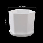 pot fleurs blanc moderne plateau succulentes bonsaï plastique