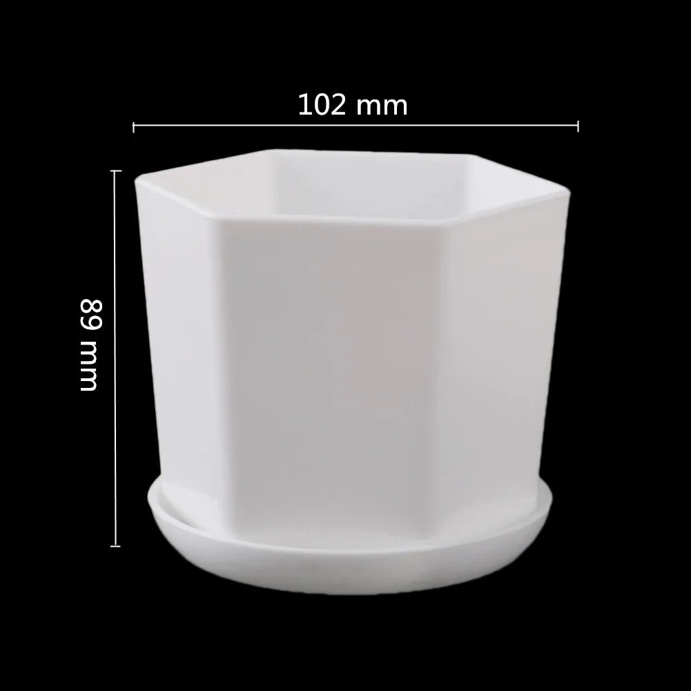 pot fleurs blanc moderne plateau succulentes bonsaï plastique