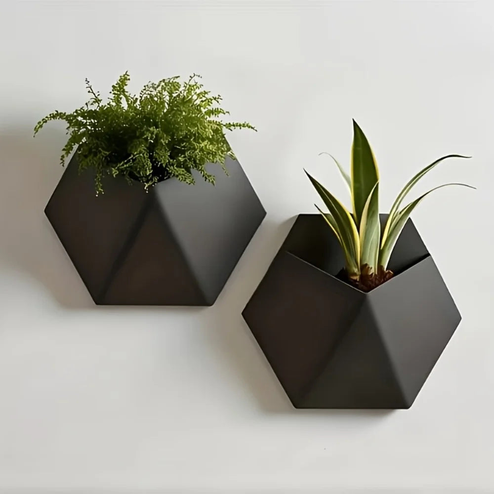 pots muraux hexagonnels noirs modernes pots plantes fixation murale géométriques transparentsintérieur