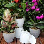 pots fleurs modernes transparents plastique grille tailles adhésif support fleur couvercle