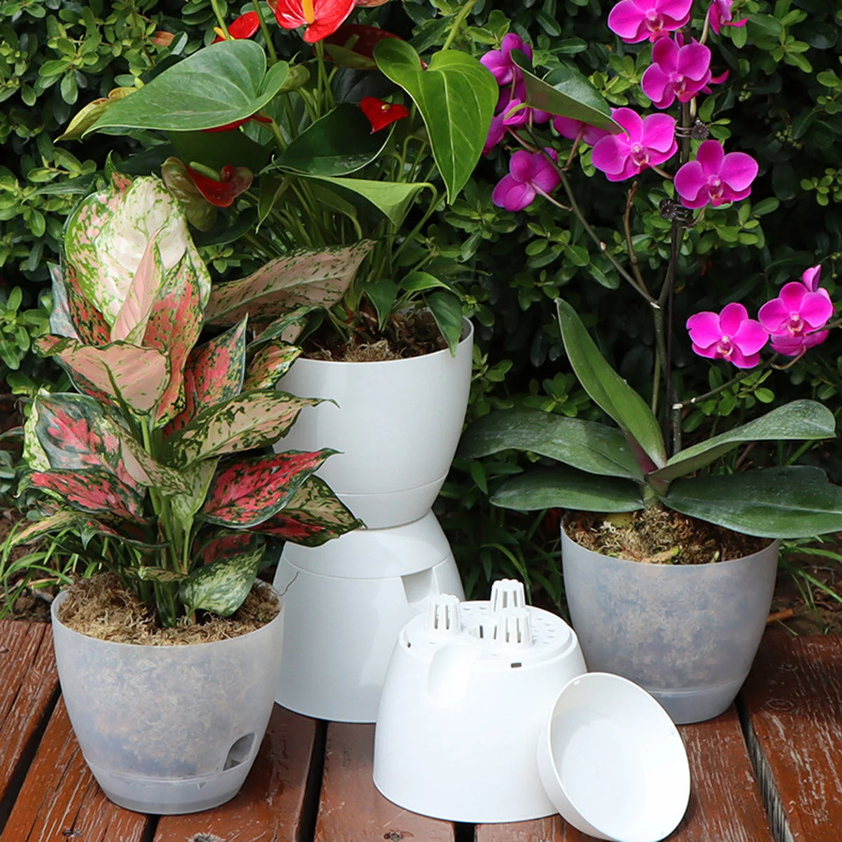 pots fleurs modernes transparents plastique grille tailles adhésif support fleur couvercle
