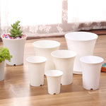 pot fleurs rond blanc plastique plante succulente décoration jardin maison