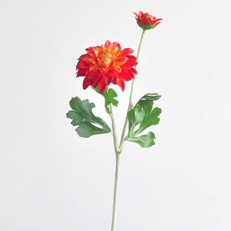 bouquet dahlias rose clair blanc minimaliste décoration intérieure hiver anniversaire noël mariage