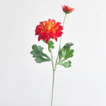 bouquet dahlias rose clair blanc minimaliste décoration intérieure hiver anniversaire noël mariage