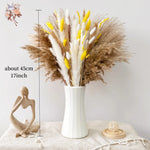 décoration maison bouquet fleurs séchées pampas bunny tail naturel rustique anniversaire mariage