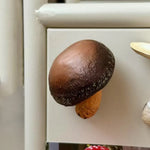 aimants réfrigérateur forme champignon couleur rouge noir blanc marron clair texture naturelle réaliste opaques