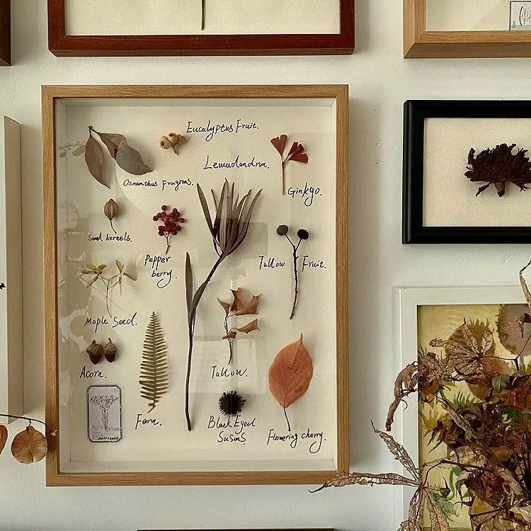 cadre bois fleurs séchées plantes vintage décoration murale naturelle ancien