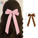 barrettes velours classiques cheveux clips métalliques noir marron rose pâle saphir bleu