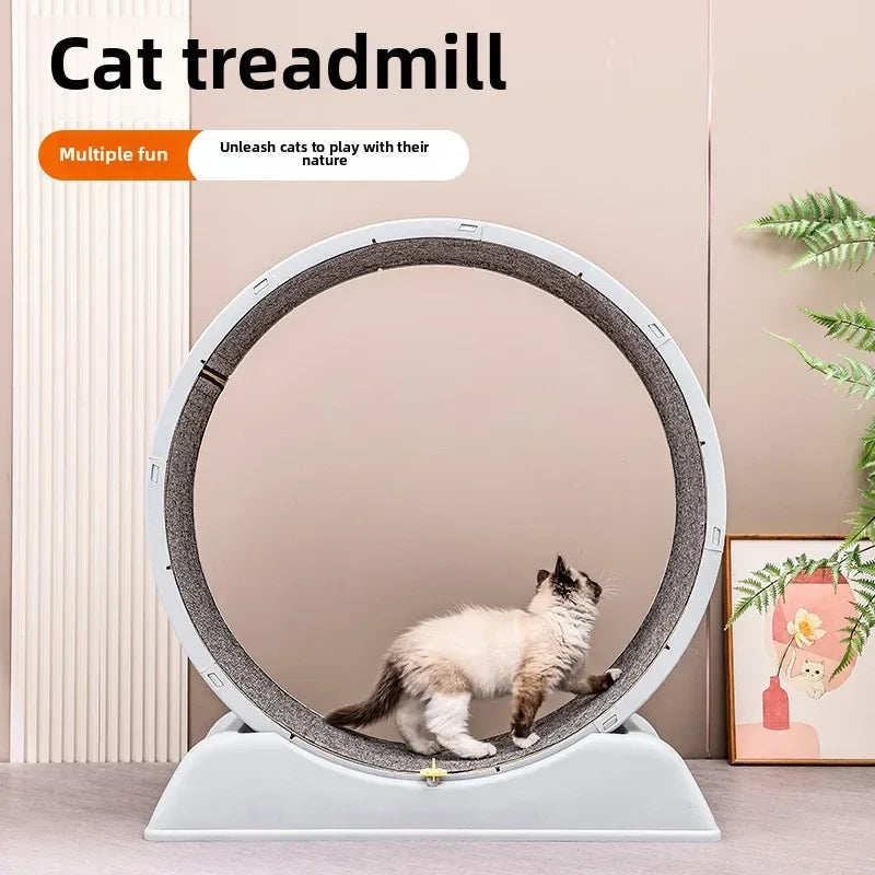 tapis course chat texture tissée gris moderne adhésif sécurité jeu catégoriel