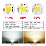 Chip LED COB 50W 30W 20W Blanc Chaud Facile Assembler AC110V 220V