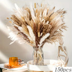 décoration maison bouquet dried flowers naturelles pampas beige rustique vase