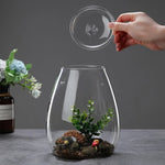 terrarium verre transparent plantes artificielles décoration miniature intérieur moderne décoratif