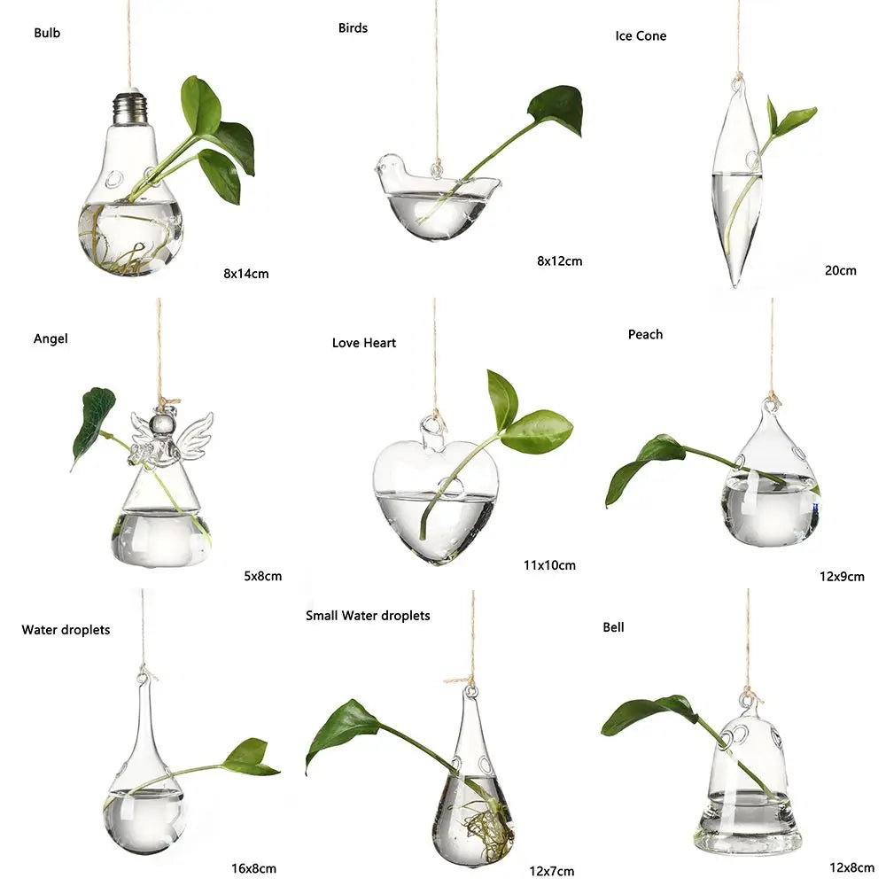 vases suspendus verre transparent motifs oiseaux coeurs plantes vertes minimaliste terrarium hydroponie